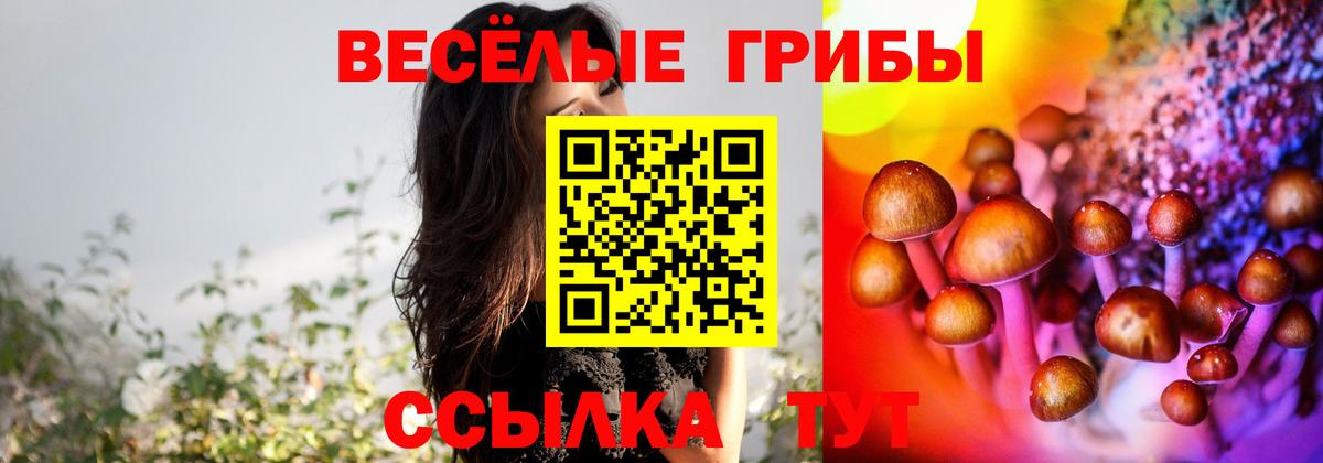 Каменск-Шахтинский  Псилоцибиновые грибы Magic Shrooms  Псилоцибиновые грибы мухоморы  сколько стоит  Вход с VPN 